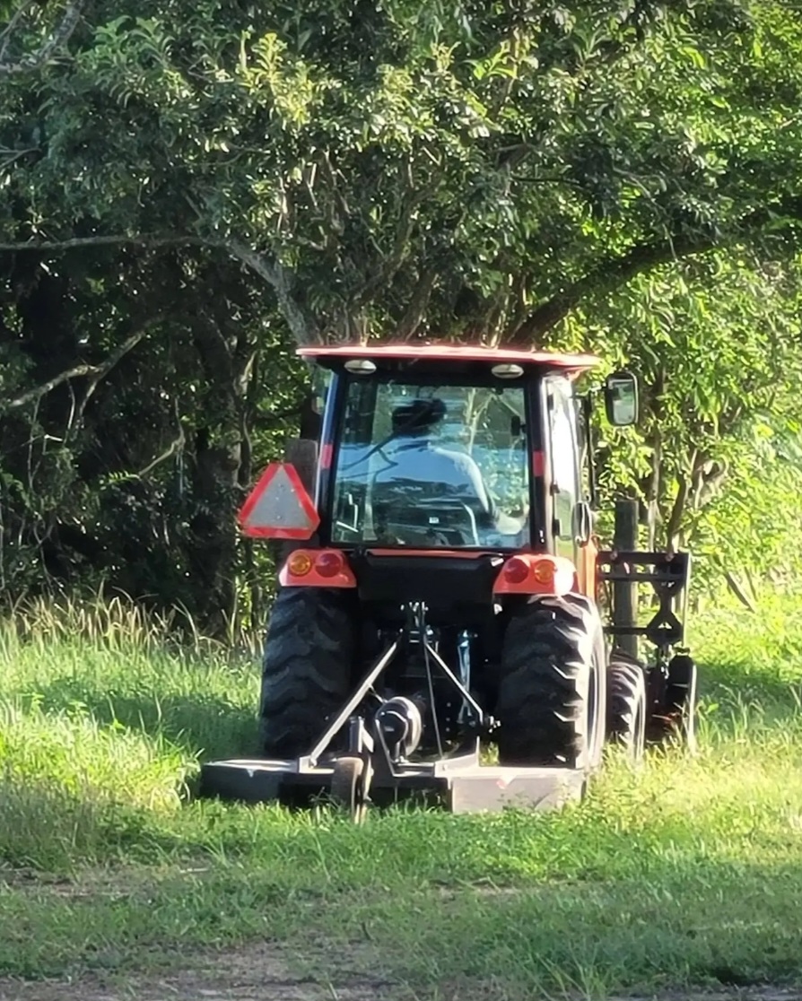 Pasture Shredding